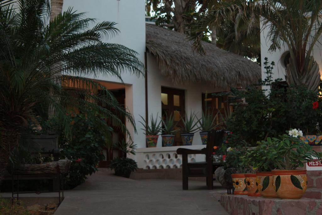 Hotel Casa Costa Azul San José del Cabo Esterno foto