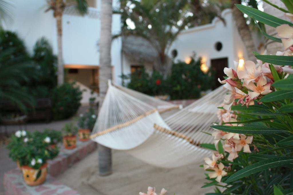Hotel Casa Costa Azul San José del Cabo Esterno foto