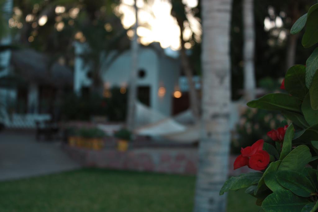 Hotel Casa Costa Azul San José del Cabo Esterno foto